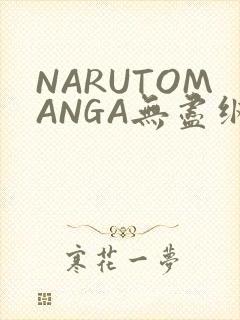NARUTOMANGA无尽纲手