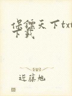 保镖天下txt下载