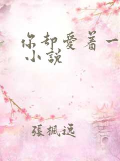 你却爱着一个他 小说