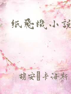 纸飞机小说