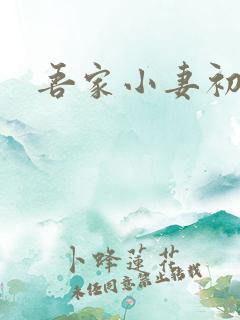 吾家小妻初长成