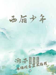 西厢少年
