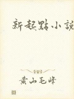 新起点小说网