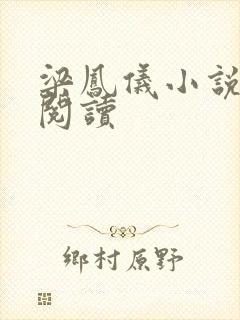 梁凤仪小说在线阅读