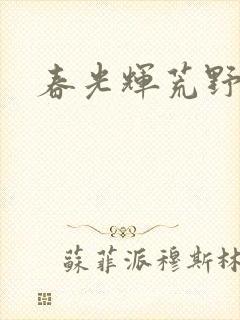 春光辉荒野