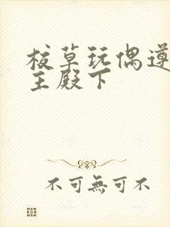 校草玩偶遵命公主殿下