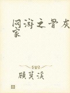 网游之骨灰级玩家