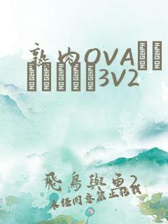 熟肉OVAちゃんはしたい3V2