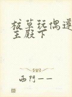 校草玩偶遵命公主殿下