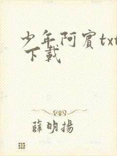 少年阿宾txt 下载