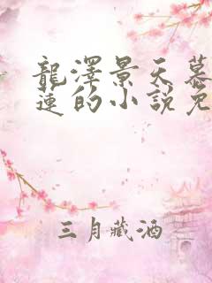 龙泽景天慕容青莲的小说免费阅读