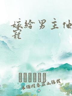 嫁给男主他爹肉宠