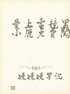 爱上电竞男神林小鹿免费阅读