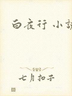 白夜行 小说