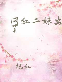 网红二妹出啥事了