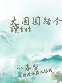 大团圆结全文阅读txt