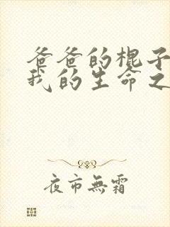 爸爸的棍子顶着我的生命之苏苗