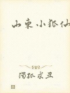 山东小狐仙