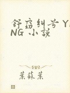 舒窈纠兮 YING 小说