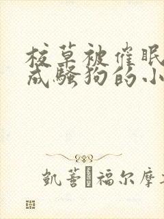 校草被催眠洗脑成骚狗的小说