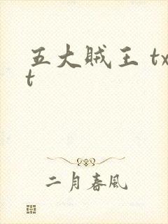 五大贼王 txt