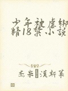 少年被虐绑着榨精18禁小说