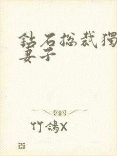 钻石总裁独宠小妻子