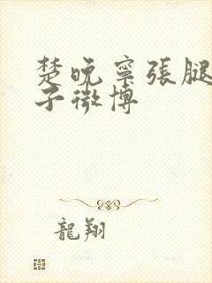 楚晚宁张腿放棋子微博