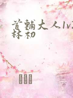 首辅大人1v2林初