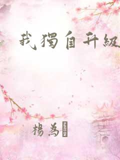 我独自升级小说