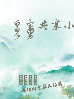 皇家共享小公主多男