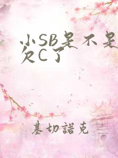 小SB是不是又欠C了