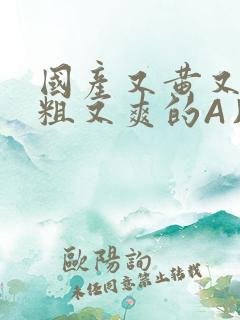 国产又黄又猛又粗又爽的A片小说