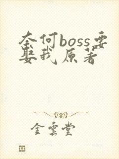奈何boss要娶我原著