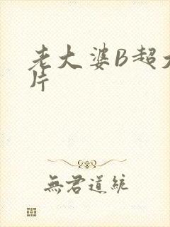 老大婆B超大图片