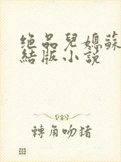 绝品儿媳苏暖完结版小说