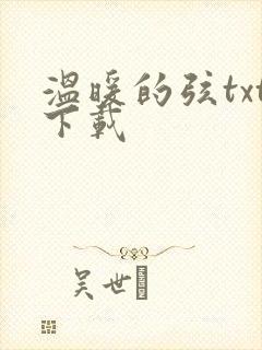 温暖的弦txt下载