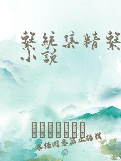 系统集精系统 小说