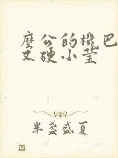 么公的机巴又粗又硬小莹