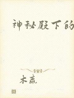 神秘殿下的专宠