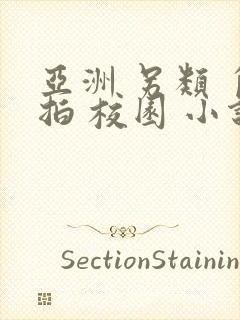 亚洲 另类 自拍 校园 小说