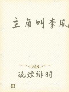主角叫李风起