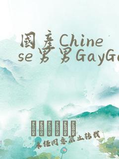 国产Chinese男男GayGayAPP