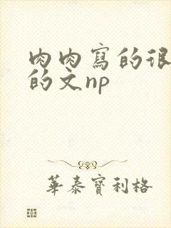肉肉写的很细致的文np