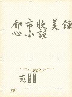 都市收美录宁素心小说