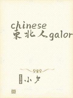 chinese东北人galore