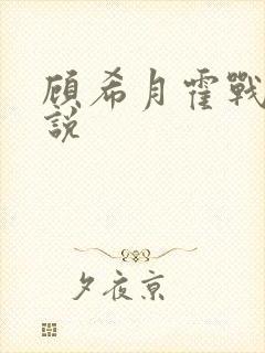 顾希月霍战霆小说