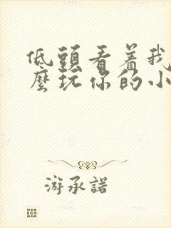 低头看着我是怎么玩你的小说