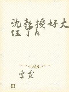沈教授好大含不住了h
