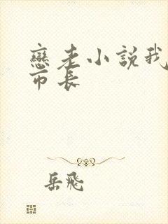 恋老小说我和老市长